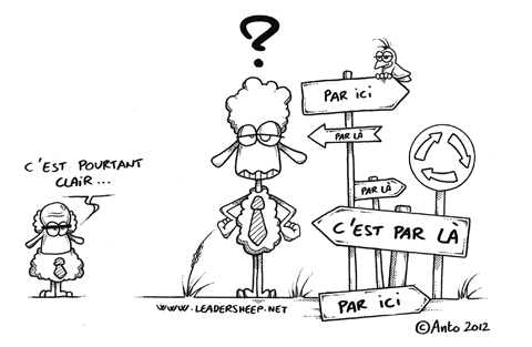 Management
